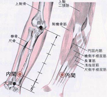 關內穴|醫砭 » 經穴庫 » 內關